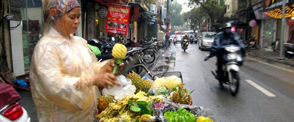 Vente d’ananas dans la rue à Hanoï, Vietnam © C. Dangleant, Cirad